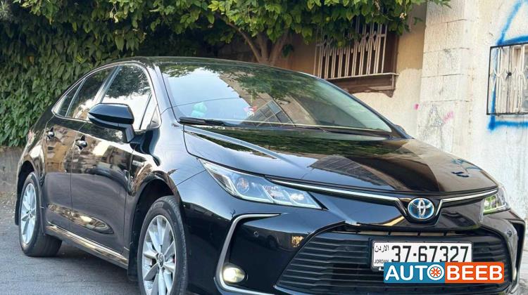 تويوتا كورولا 2019